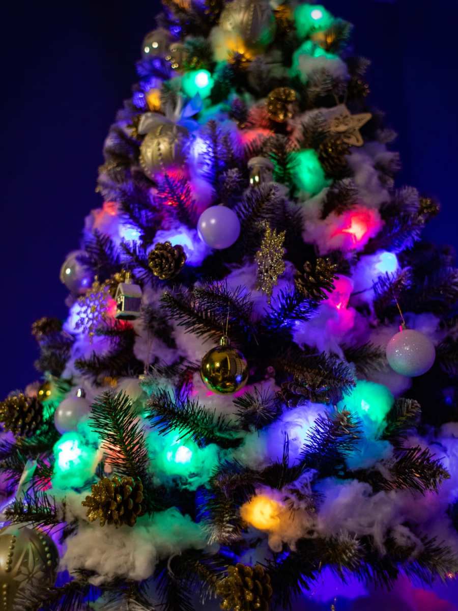 IMG_0145